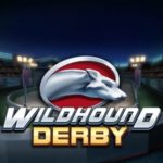 Wildhound Derby Logo
