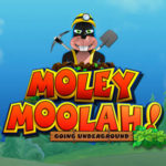 Moley Moolah Logo
